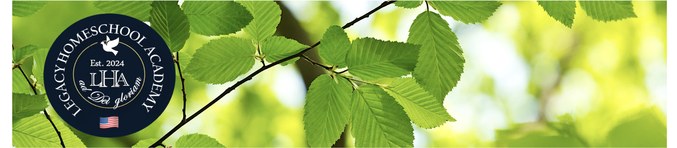 Untitled Header Image